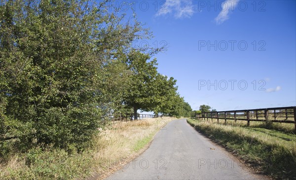 Quiet country road with hedgerow and fence, Ewarton, Suffolk, England, United Kingdom, Europe