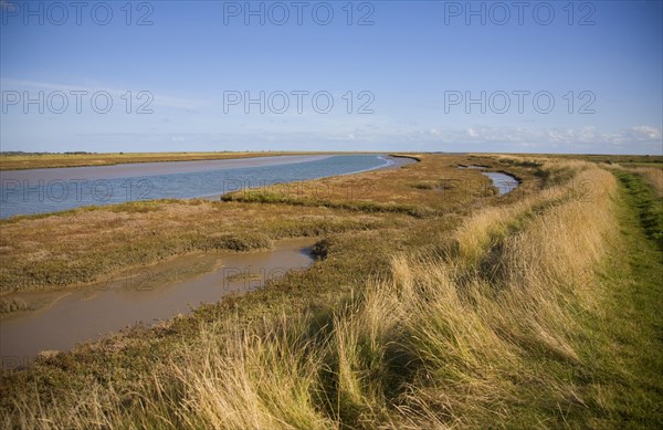 Mudflats and saltings vegetation on the tidal Butley Creek rivers, Suffolk, England, United Kingdom, Europe