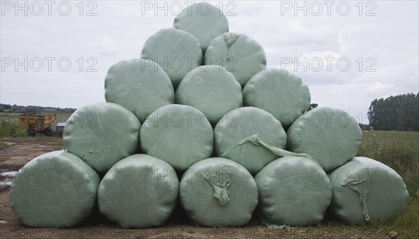 Pile of green plastic bags storing grass for silage