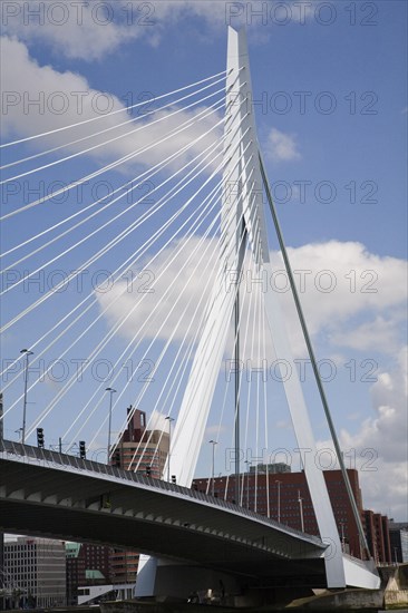 Erasmusbrug, Erasmus Bridge, spanning the River Maas, Rotterdam, Nethrlands