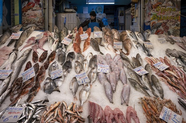 Trader, fishmonger working in his market stall, display of fresh fish and seafood on ice, Food, Kapani Market, Vlali, Thessaloniki, Macedonia, Greece, Europe