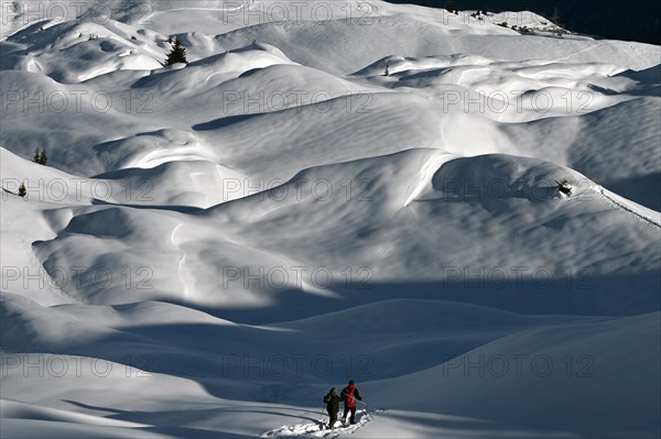 Snowshoe hiking in the Beverin nature park Park, Graubuenden, Switzerland, Europe