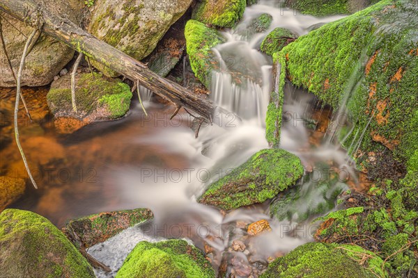 Close-up of a waterfall with a tree trunk protruding into it, long exposure, moss, Harz Mountains, Lower Saxony, Germany, Europe