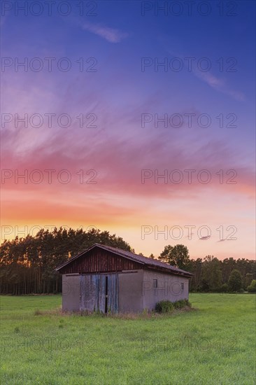 Barn in a meadow, sunset, evening light, portrait format, Eilvese, Neustadt am Ruebenberge, Hanover, Lower Saxony, Germany, Europe