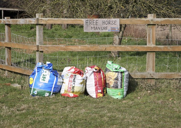 Bags of free horse manure