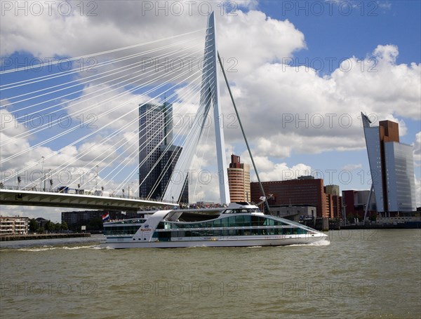 Erasmusbrug, Erasmus Bridge, spanning the River Maas, Rotterdam, Nethrlands