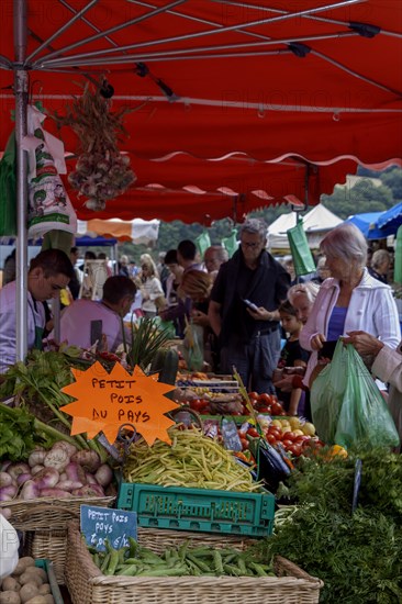 Weekly market in Treguier, Departement Cotes-d'Armor, Brittany, France, Europe