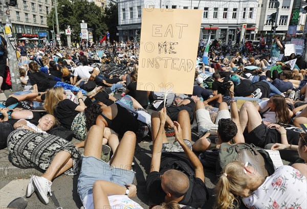 Mass die In, at the Official Animal Rights March demo at Rosenthaler Platz in Berlin. The Animal Rights March is a demonstration of the vegan community for animal protection and animal rights, 25 August 2019