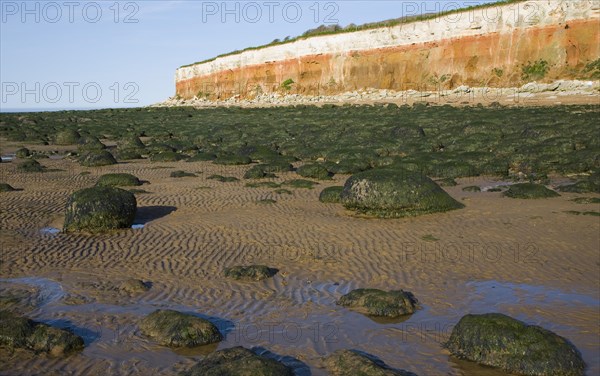 Chalk, red chalk and carstone form striped cliffs of white, red and orange at Hunstanton, Norfolk, England, United Kingdom, Europe