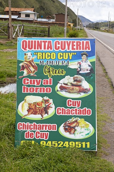 Billboard for a traditional cuyeria or guinea pig restaurant, Marangani, Canchis province, Cusco region, Peru, South America
