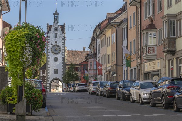 Old town of Dissenhofen on the Rhine, town gate, signalling tower, cantonal coat of arms, floral decoration, Frauenfeld district, canton of Thurgau, Switzerland, Europe