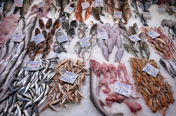 Display of fresh fish and seafood on ice, fishmonger, food, Kapani Market, Vlali, Thessaloniki, Macedonia, Greece, Europe