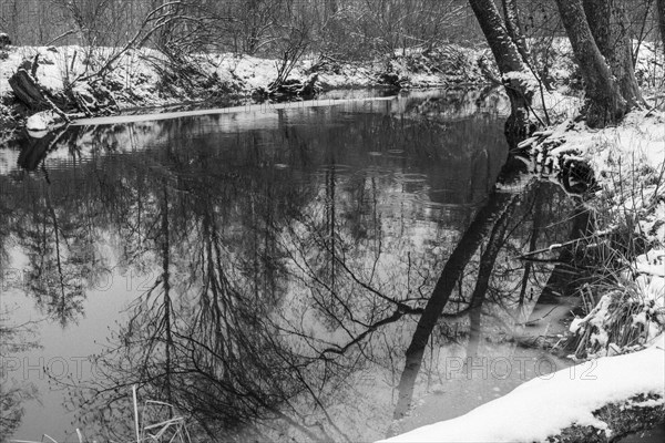 Sapina River and the riparian forest, the swamp, partially reflecting in the slowly flowing water, seen in mid-winter, during the early, January thaw, with some snow on the ground and barren trees, chiefly common alders around. Monochrome, greyscale photograph. Sapina Valley near the Stregielek village in the Pozezdrze Commune of the Masurian Lake District. Wegorzewo County, Warmian-Masurian Voivodeship, Poland, Europe