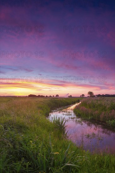 Landscape photo of a moat at sunset, wind, portrait format, evening light, landscape photography, nature photography, Brokeloh, Nienburg Weser, Lower Saxony, Germany, Europe