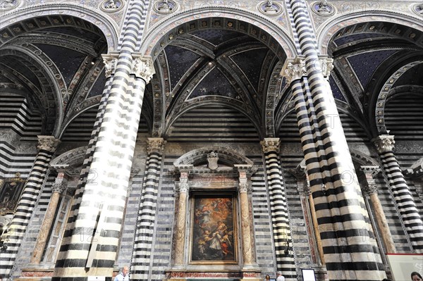 The nave of the cathedral with its black and white striped marble columns, cross and round arches, Siena, Tuscany, Italy, Europe