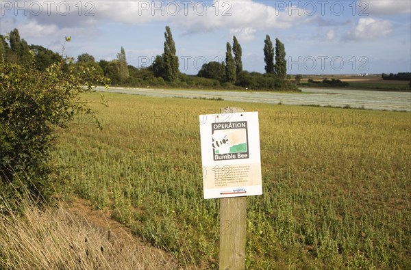Operation Bumble Bee sign on by field, Suffolk, England a scheme to promote insect habitat in arable farming areas, Hollesley, Suffolk, England