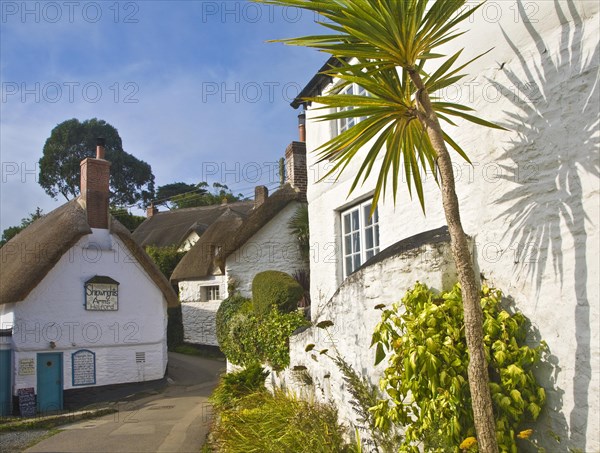 Pretty traditional thatched cottages in the village of Helford village, Cornwall, England, United Kingdom, Europe