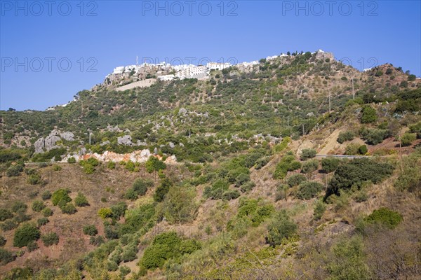 Countryside and fields near the hilltop Andalusian village of Comares, Malaga province, Spain, Europe