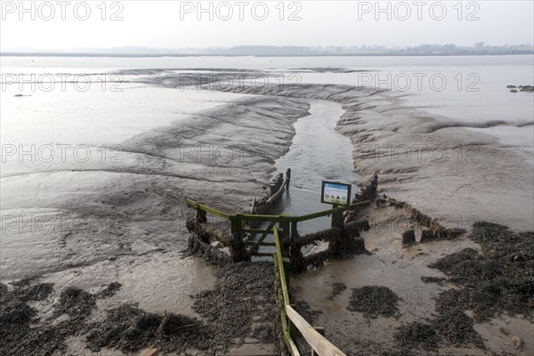 Drainage sluice channel on the River Deben at low tide, Sutton, Suffolk, England, United Kingdom, Europe