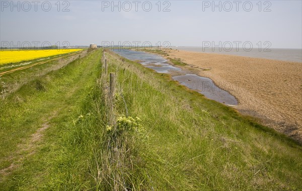 Shingle beach bar and lagoon formed by north to south longshore drift at Bawdsey, Suffolk, England, United Kingdom, Europe
