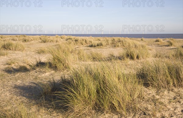 Scroby Sands offshore wind farm, Great Yarmouth, Norfolk, England, United Kingdom, Europe