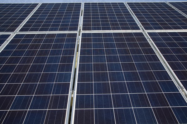 Array of photovoltaic panels for solar energy electricity generation