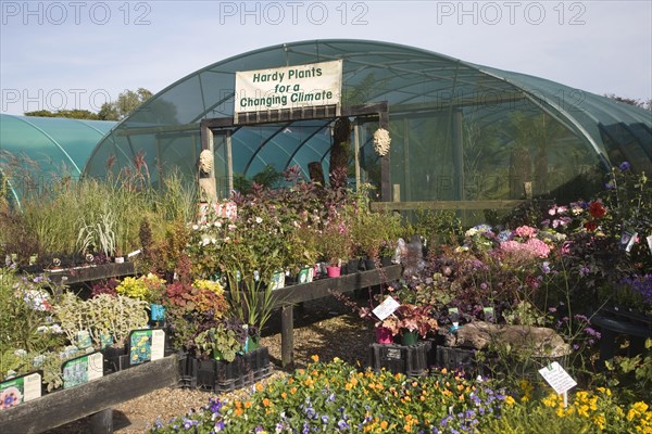 The Exotic Garden Company specialises in plants for a changing climate, Aldeburgh, Suffolk, England, United Kingdom, Europe