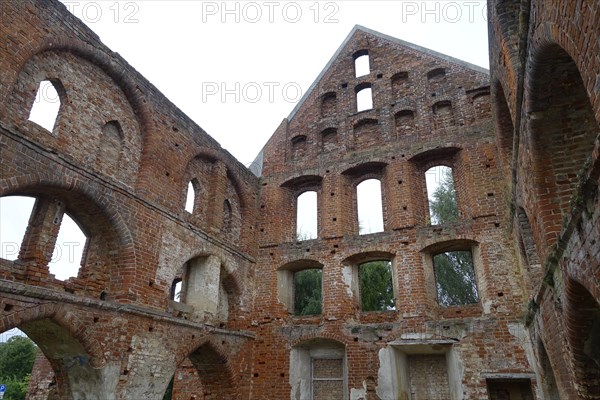 Minster Bad Doberan, Cistercian monastery, 13th century, Bad Doberan, Mecklenburg-Western Pomerania, Germany, Europe