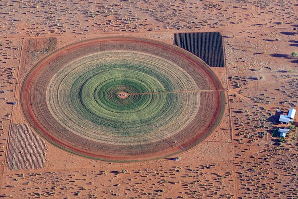 Aerial photo, circular field in the Kalahari desert, agriculture, irrigation, groundwater, alfalfa, field, circular, fodder, fodder, Namibia, Africa