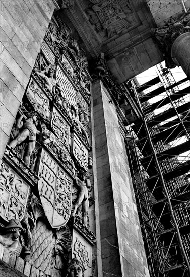 Coat of arms tree on the west side of the Reichstag building during the reconstruction, Platz der Republik, Berlin, Germany, Europe
