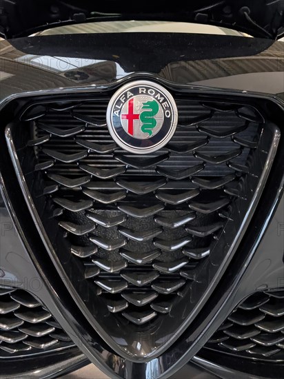 Radiator grille Scudetto with coat of arms emblem Logo of Alfa Romeo with parts of coat of arms of Duchy of Milan Milano cross snake, international