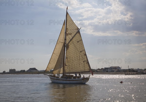Historic wooden sailing yacht boat in full sail at the mouth of River Deben, looking over to Felixstowe Ferry, Suffolk, England, United Kingdom, Europe