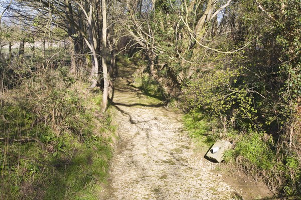 Stream bed with no water dried in dry drought conditions, Suffolk, England April 2012