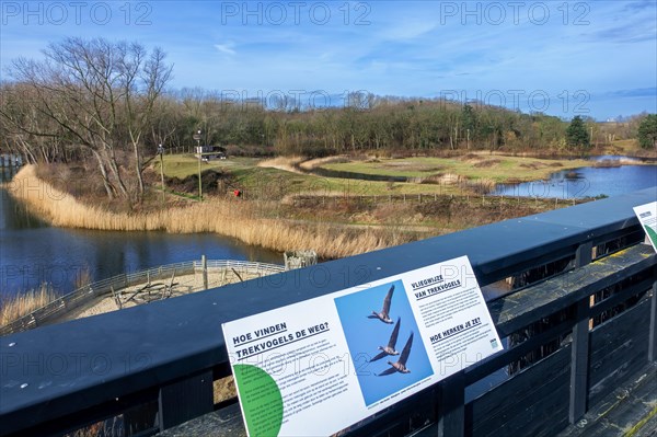 Information boards and view from panorama platform over the Zwin Nature Park, bird sanctuary at Knokke-Heist in late winter, West Flanders, Belgium, Europe