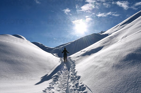 Snowshoe hiking in the Beverin nature park Park, Graubuenden, Switzerland, Europe