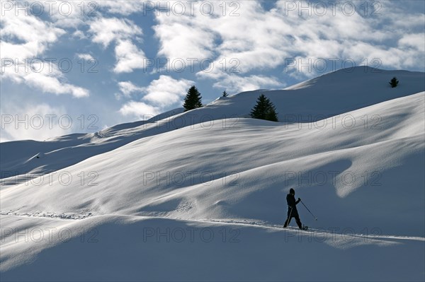 Snowshoe hiking in the Beverin nature park Park, Graubuenden, Switzerland, Europe