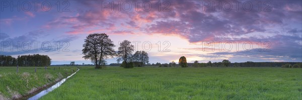 Sunset over a meadow landscape with ditch and trees, panorama, landscape photography, nature photography, evening light, grass, Schneeren, Neustadt am Ruebenberge, Germany, Europe