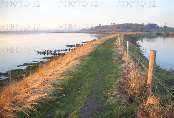 Coastal flooding leading to inundation of land not covered by flood water for 50 years, Ramsholt, Suffolk, England, December 2013