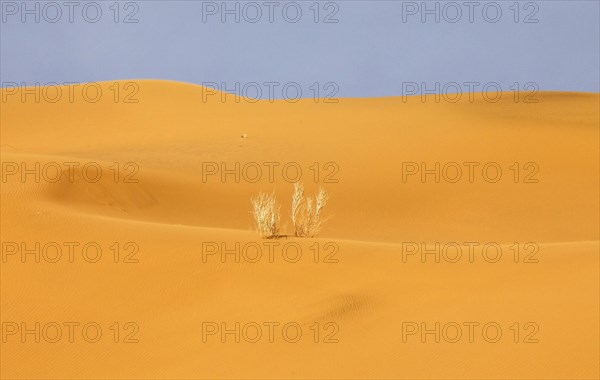 Mesr Desert in Iran. The Mesr Desert is part of the central Dashte-Kavir desert, 12.03.2019