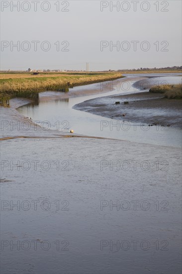 Mudflats and marsh at low tide, Wolsey's Creek, River Blyth, Reydon Marshes, Suffolk, England, United Kingdom, Europe
