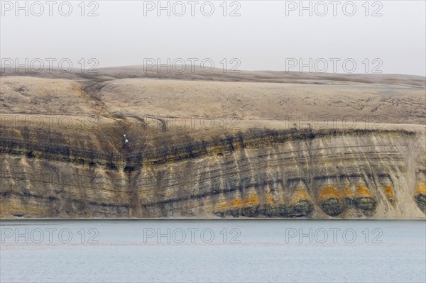 Sea cliff showing limestone and sandstone strata from the Permian period along the Hinlopen Strait, Hinlopenstretet, Spitsbergen, Svalbard, Norway, Europe