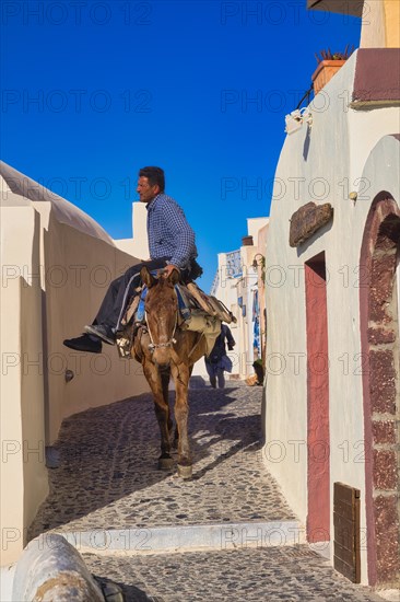 Animal load transport with rider, Oia, Santorini, Cyclades, Greece, Europe