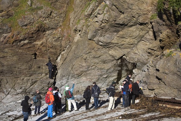 Student group of geologists on a fieldtrip at Polpeor Cove, Lizard Point, Cornwall, England, United Kingdom, Europe