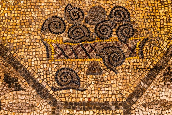 Snail mosaics, crypt of the excavations from the 4th century, Crypta degli Scavi, Basilica of Aquileia from the 11th century, largest floor mosaic of the Western Roman Empire, UNESCO World Heritage Site, important city in the Roman Empire, Friuli, Italy, Aquileia, Friuli, Italy, Europe
