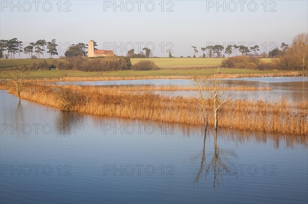 Coastal flooding leading to inundation of land not covered by flood water for 50 years, Ramsholt, Suffolk, England, December 2013