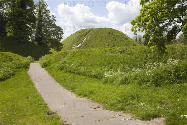 Thetford mound, a medieval motte and bailey castle, Thetford, Norfolk, England, United Kingdom, Europe
