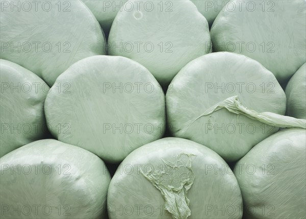 Close up of pile of green plastic bags storing grass for silage