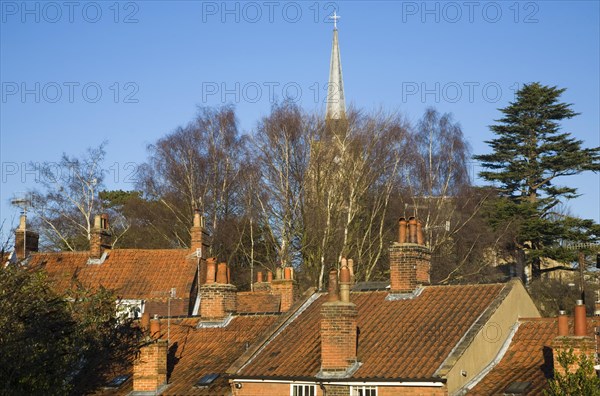 Pan-tiled roofs and chimneys on traditional housing in Woodbridge, Suffolk, England, United Kingdom, Europe