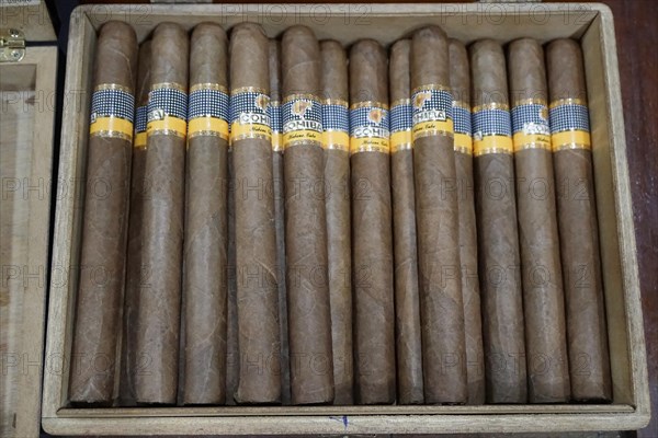 Selection of original Cuban cigars, tourist shop, Santa Clara, Cuba, Central America, America, Central America