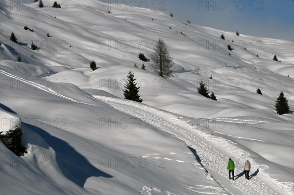 Hiking in a winter landscape in the Beverin nature park Park, Graubuenden, Switzerland, Europe